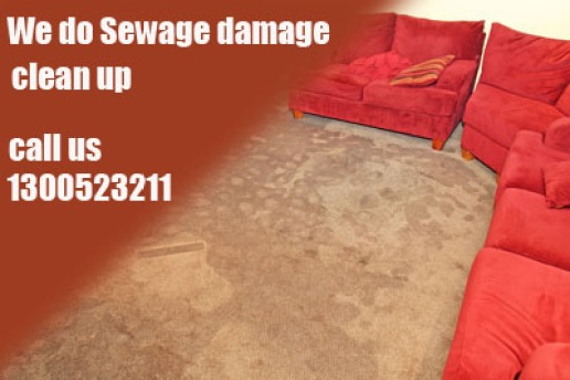 carpet-water-damage-restoration